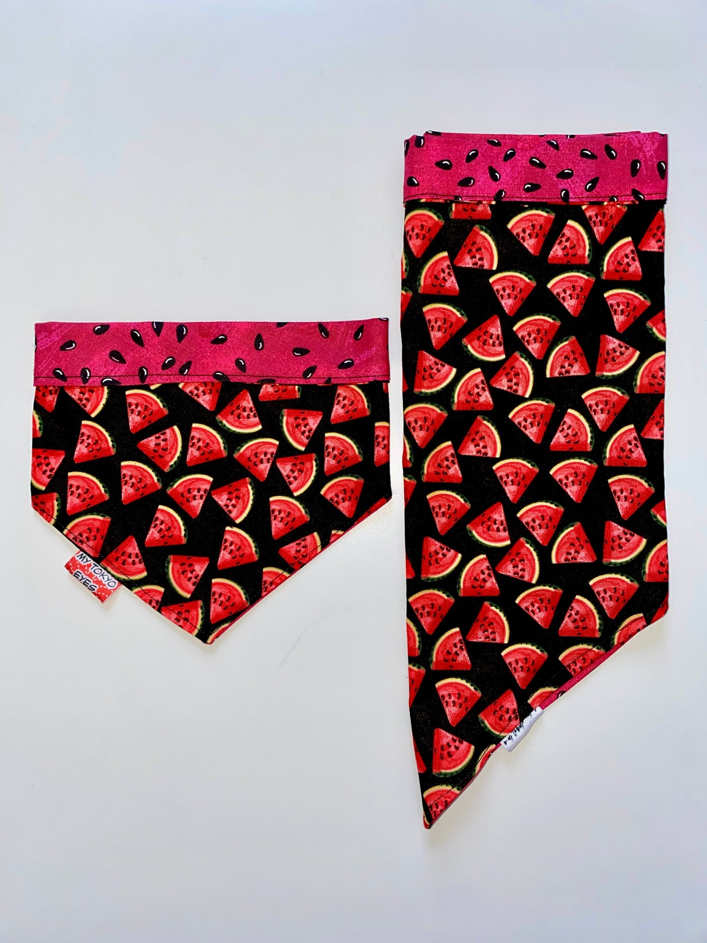 Watermelon Seed Double-Sided Pet Bandana LAST CHANCE
