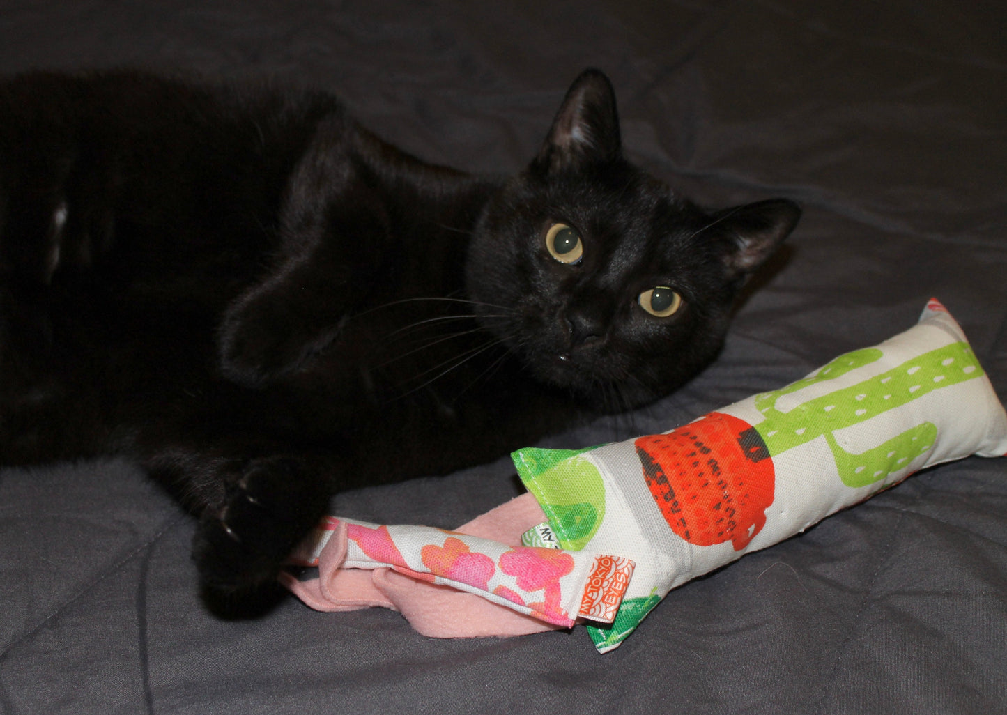 Kitty Kickstick