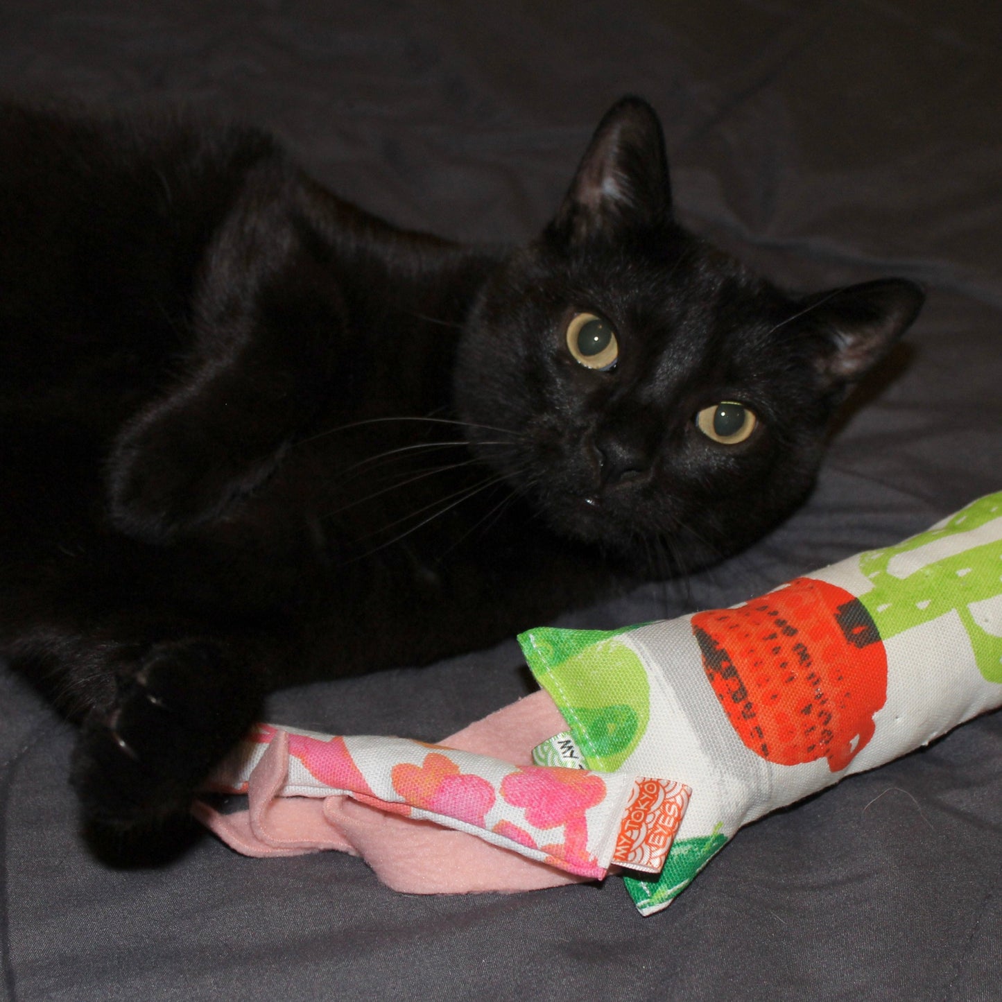 Kitty Catnip Bundle *SALE*