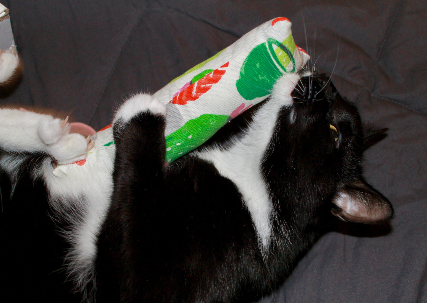Kitty Kickstick