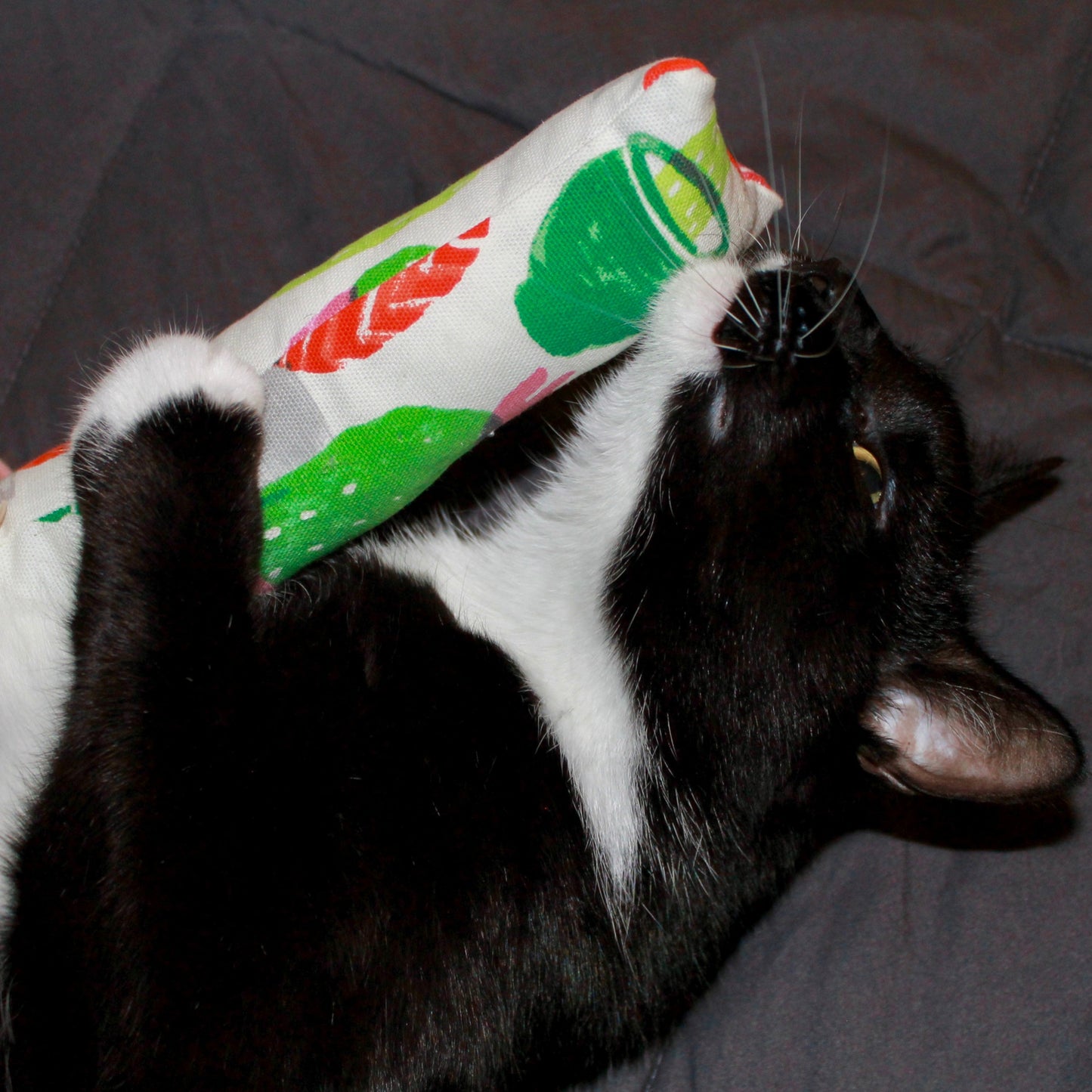 Kitty Catnip Bundle *SALE*