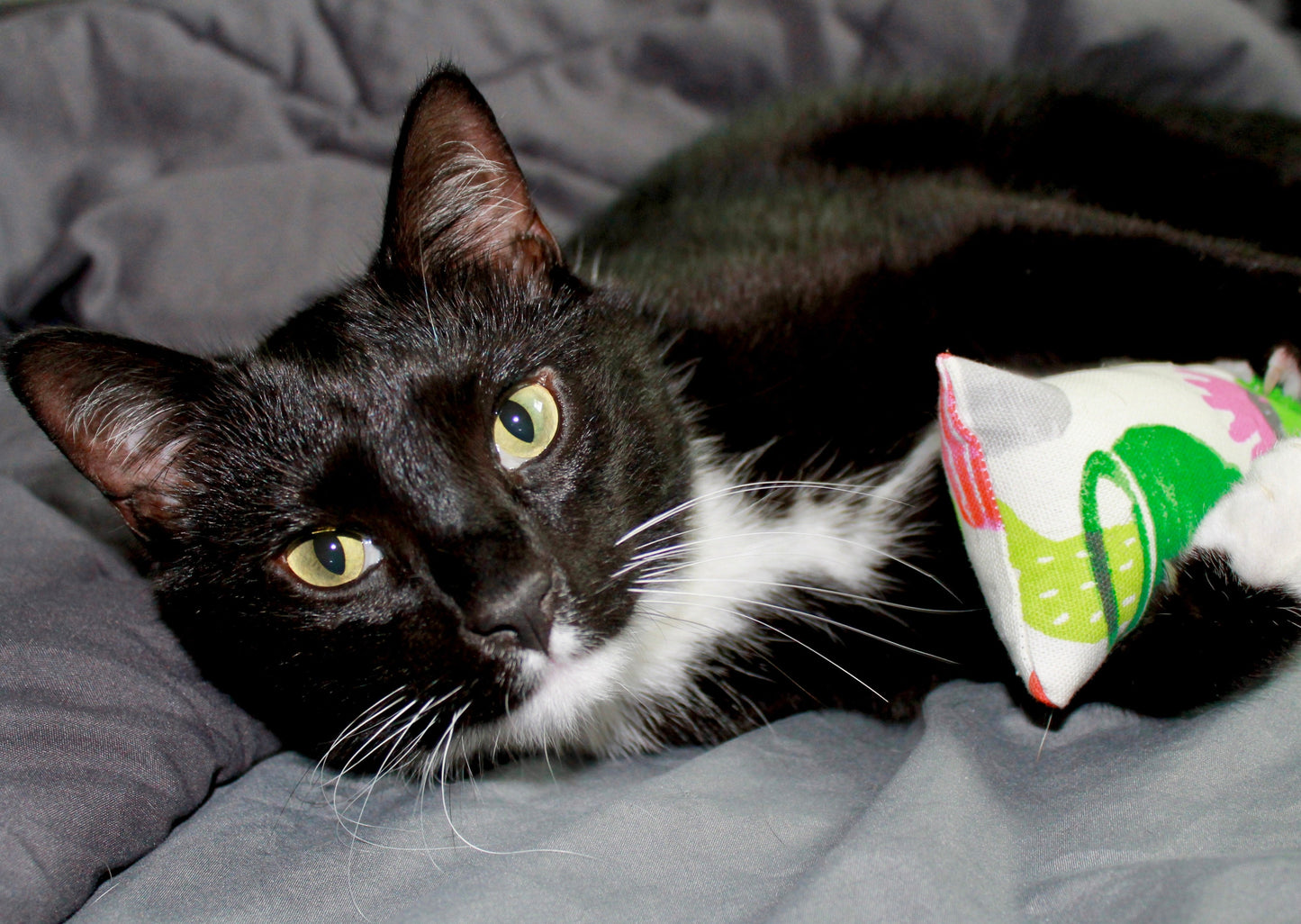 Kitty Kickstick