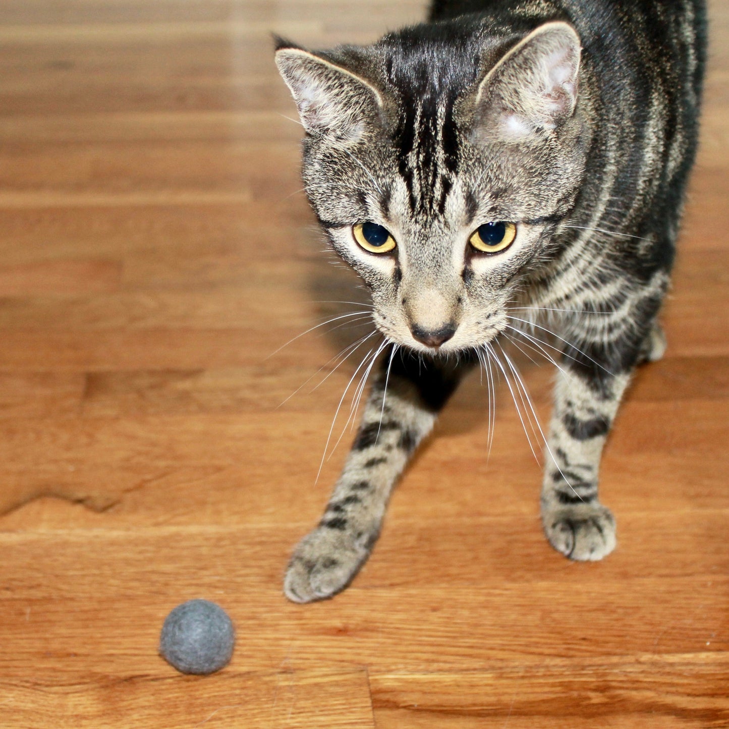 Catnip Wool Ball Tin